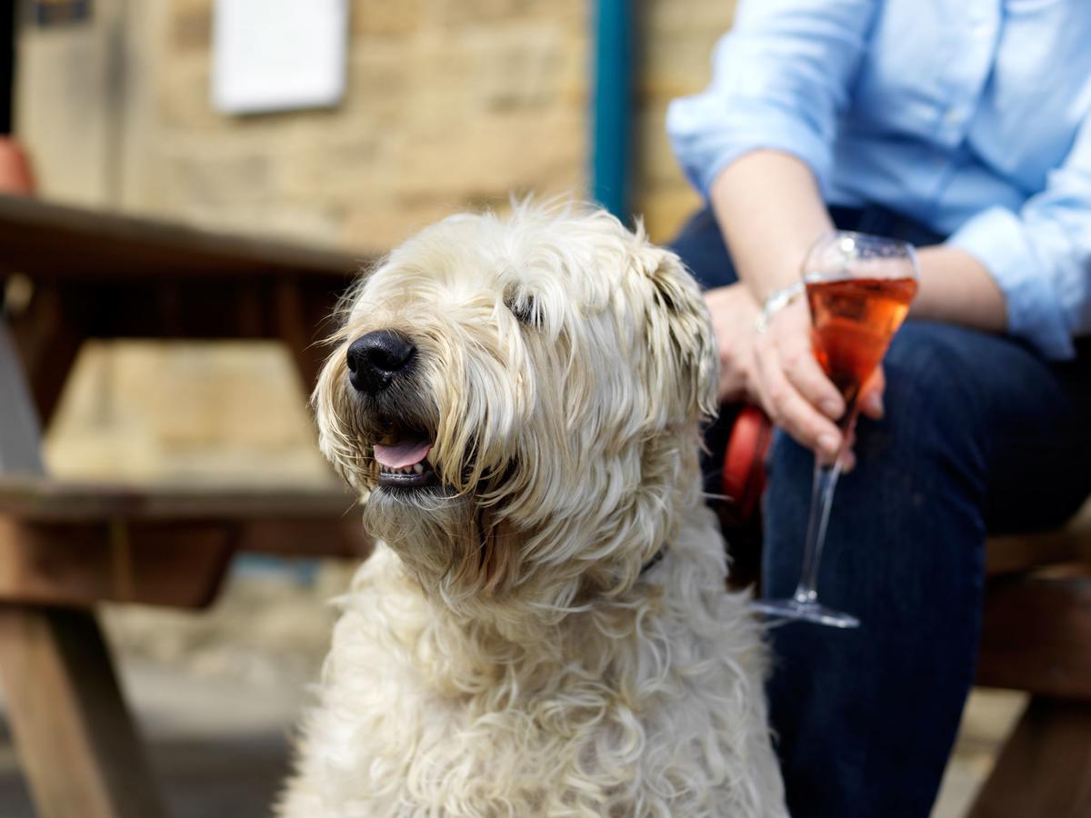 The Pilsley Inn - Chatsworth バスロウ エクステリア 写真